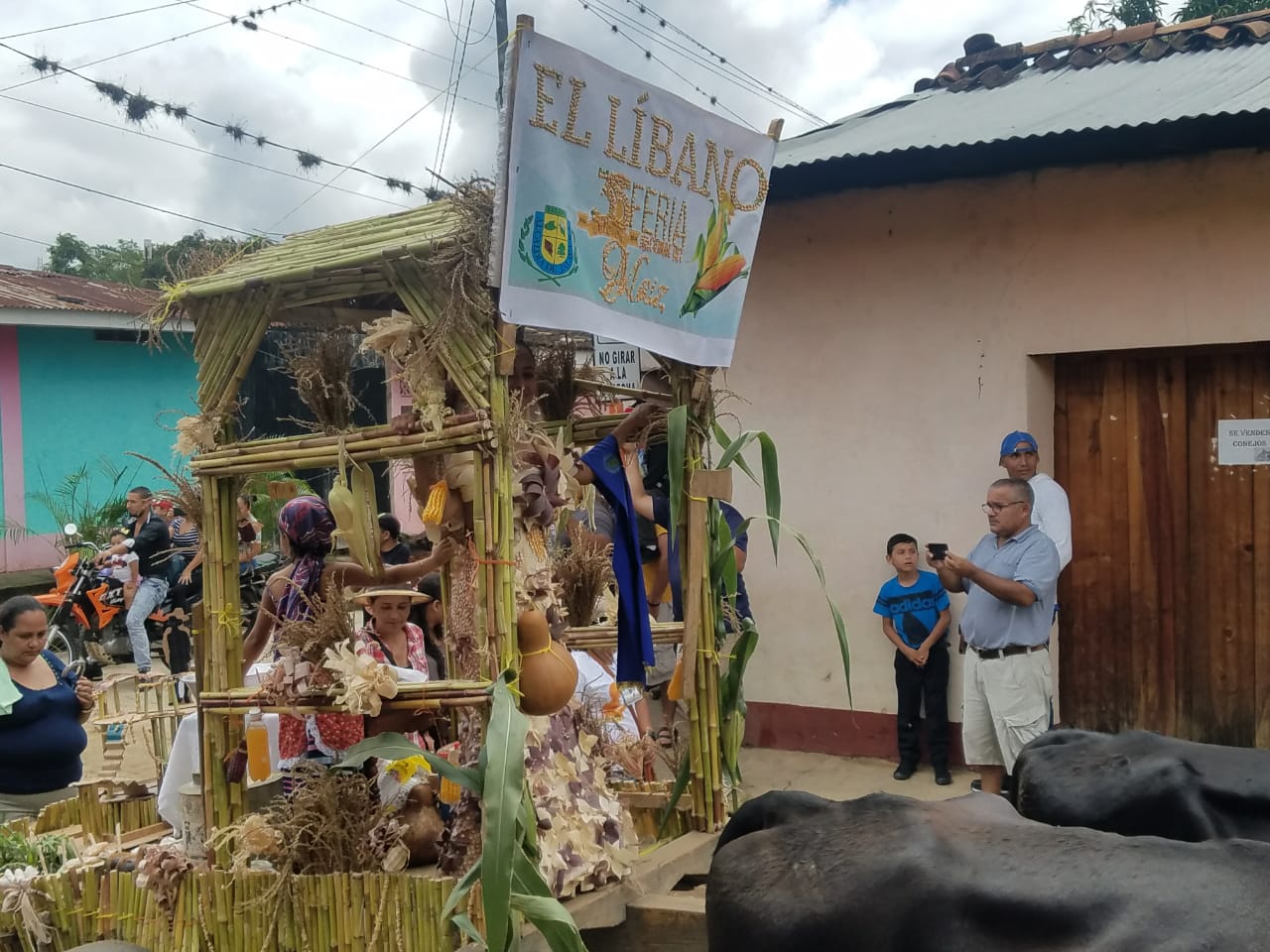jalapa